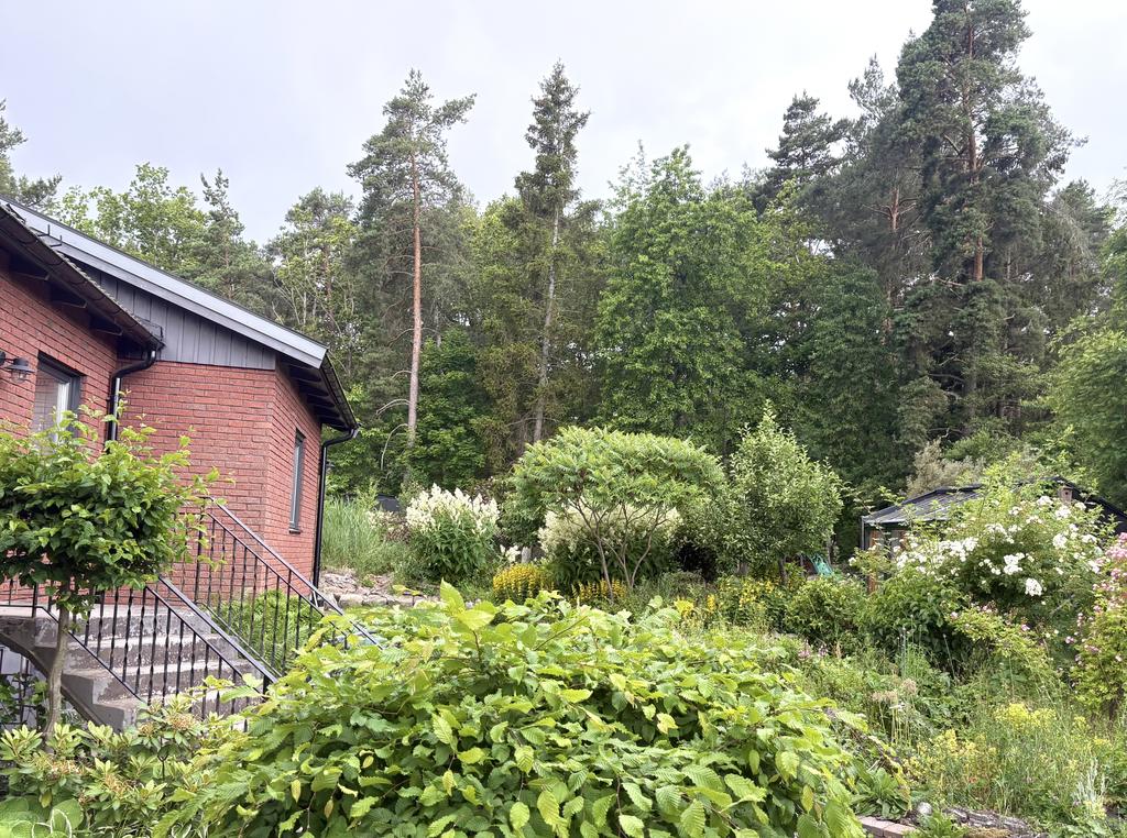 Säljarens bild