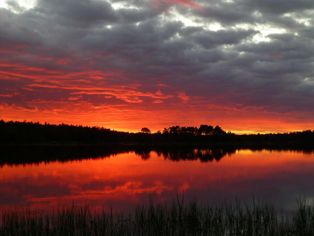 Säljarens egen bild