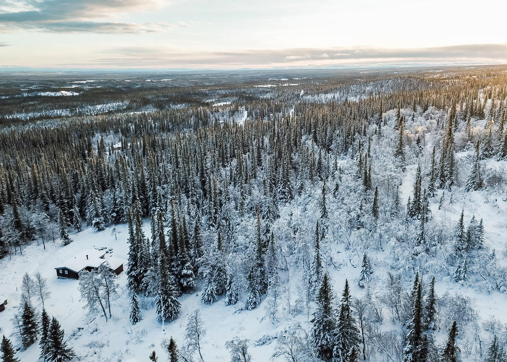 Vinter i Jämtland