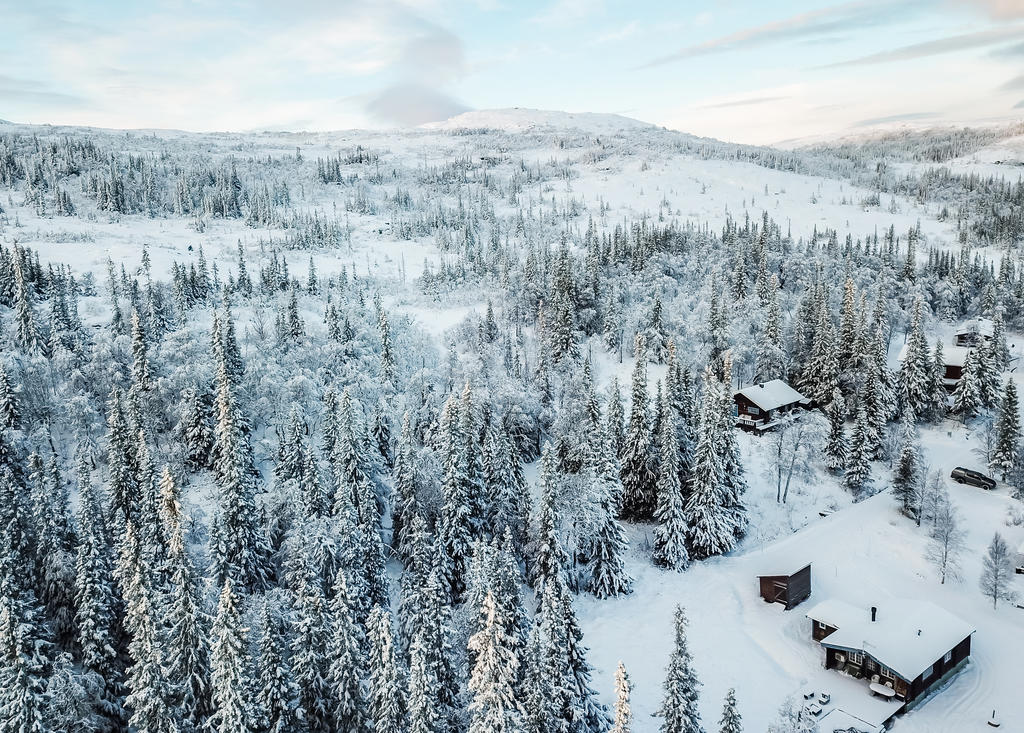 Bara att ta på skidorna!