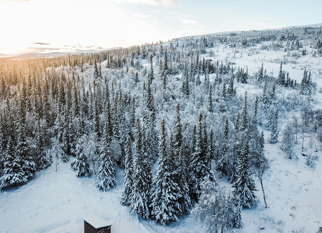 Fjället är alldeles intill.
