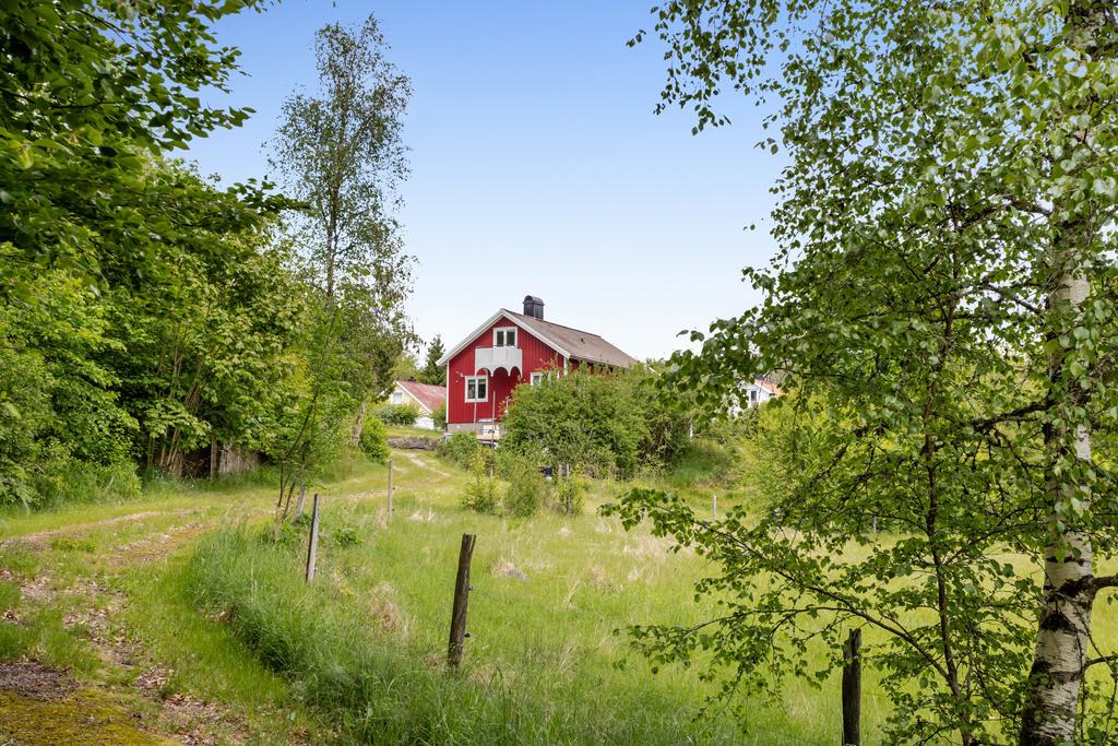 En liten slingrande väg fram till huset.