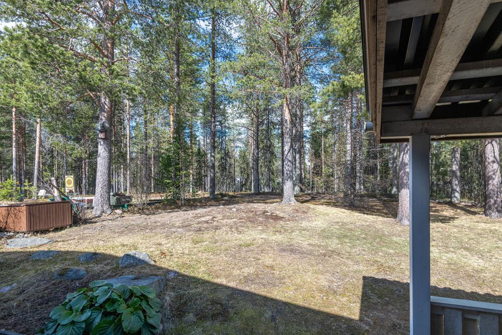 Drömmigt läge med skogsparti just utanför