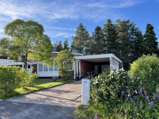 Säljarens sommarbild
