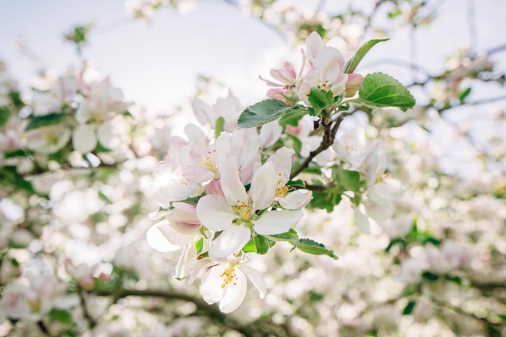 Detaljbild