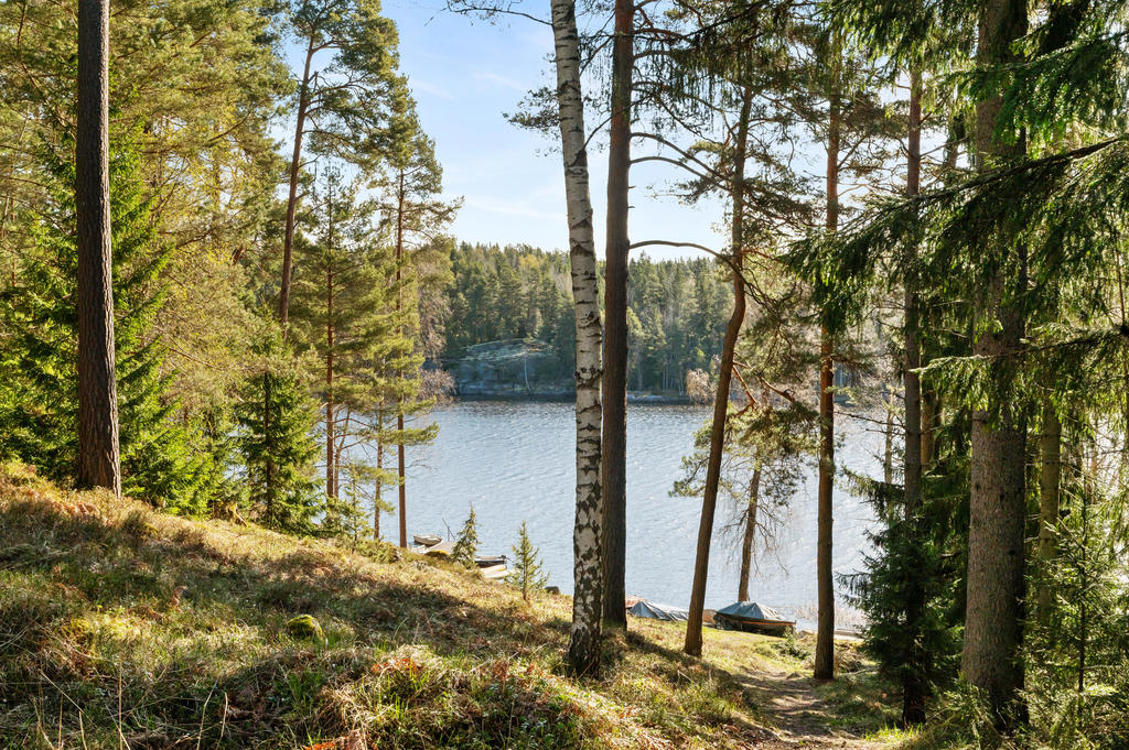 Fin natur vid vattnet