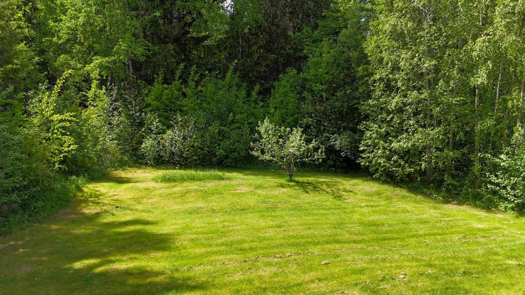 Trädgård