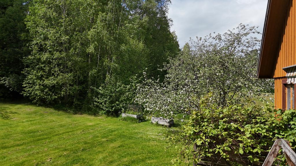 Trädgård