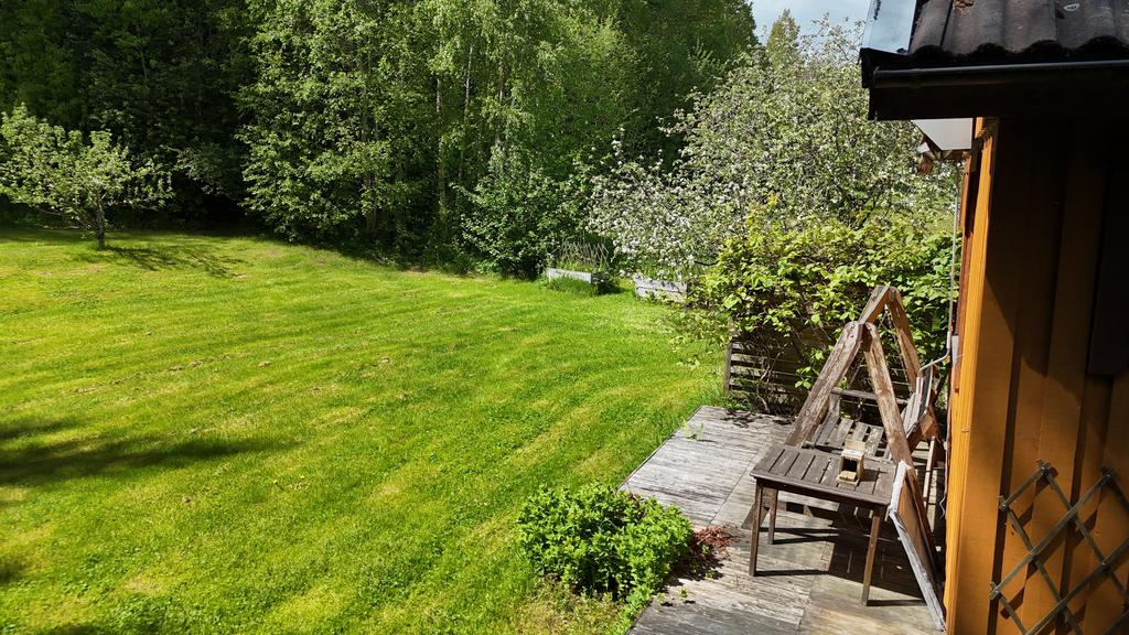 Trädgård