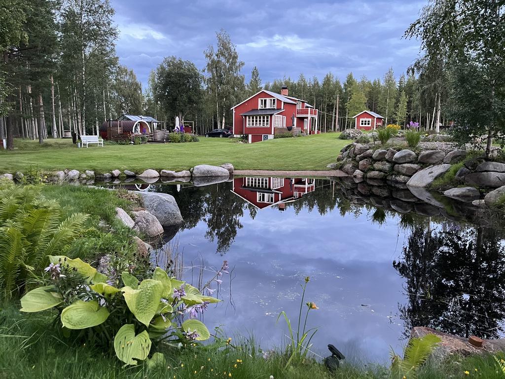 Säljarens bild, tagen ifrån dammen.
