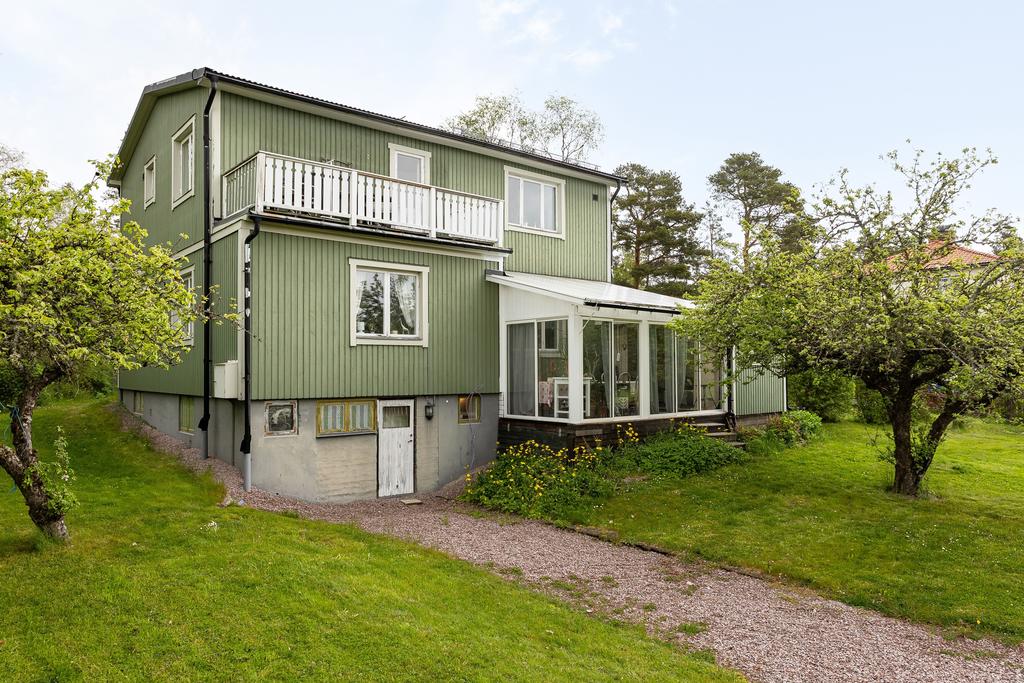 Trädgård på husets baksida