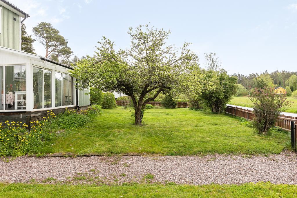 Trädgård på husets baksida