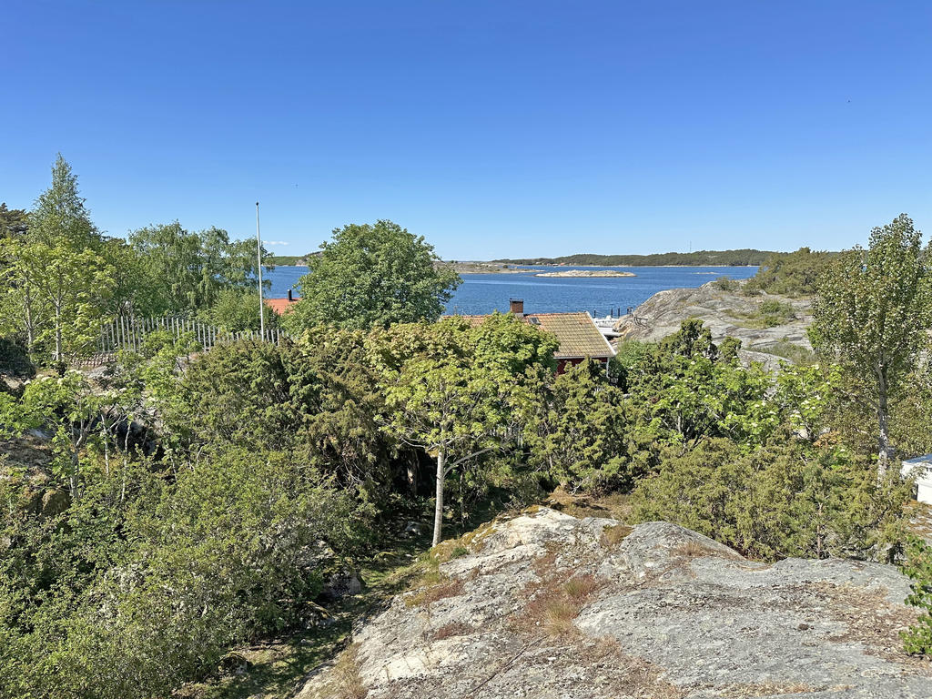 Utsikt från fastigheten