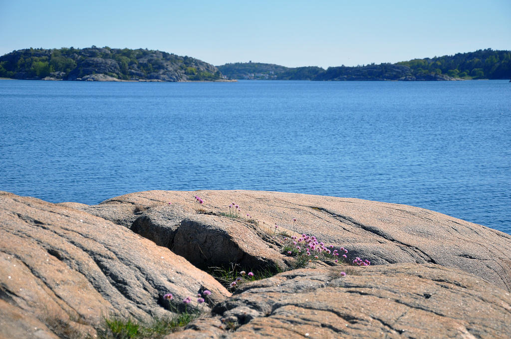 Miljöbild Raftön