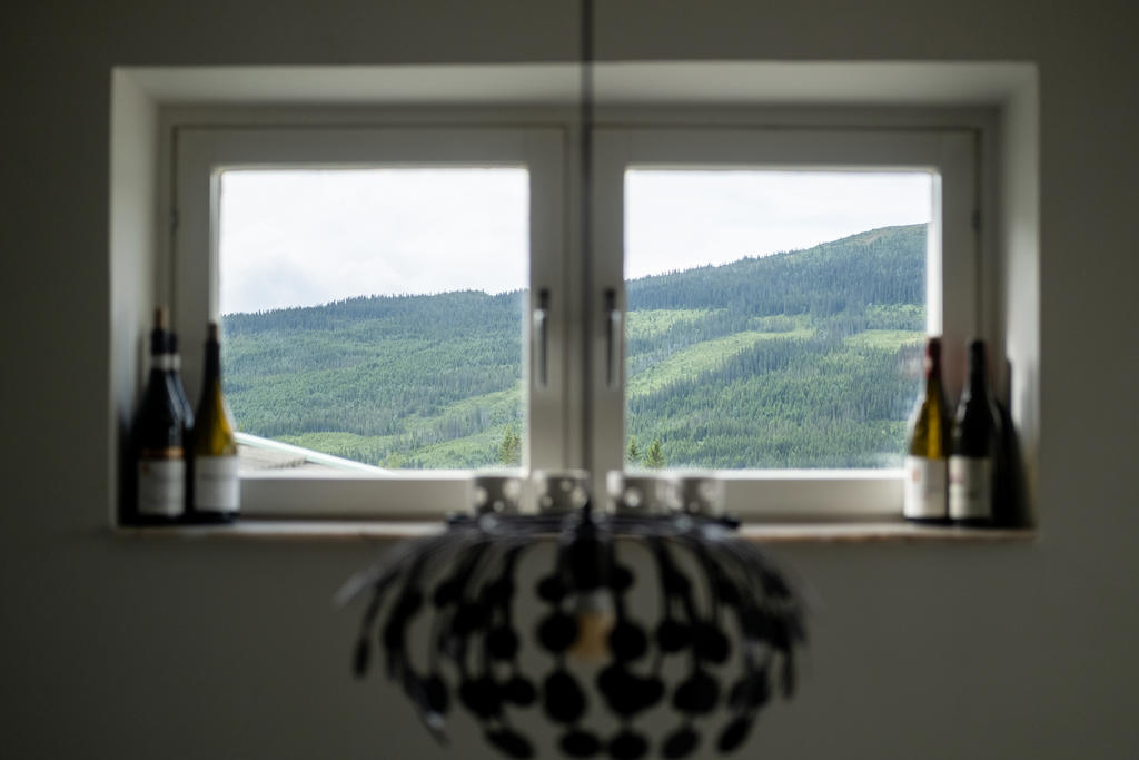 Skymt av Renfjället