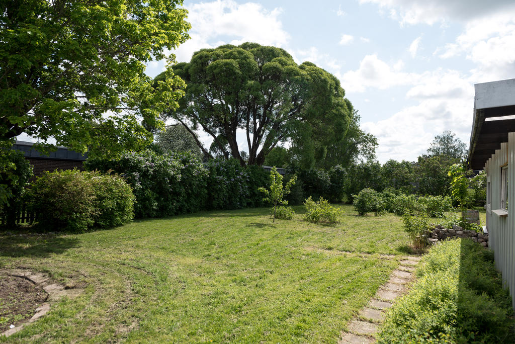 Trädgård.