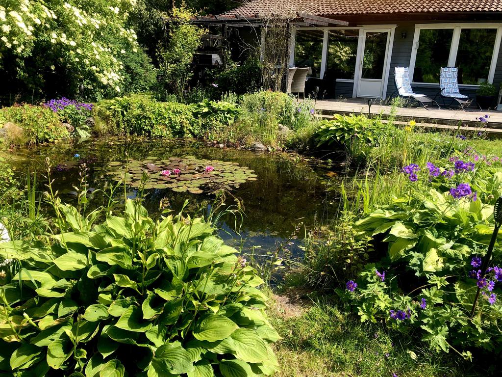 Säljarens sommarbilder.