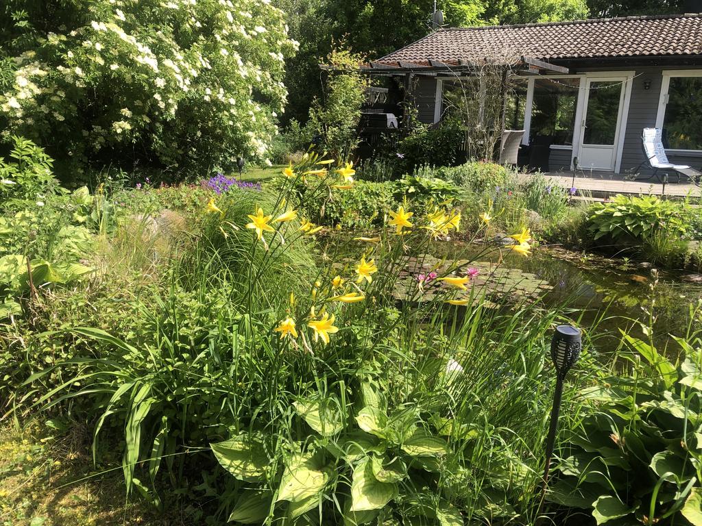 Säljarens sommarbilder.