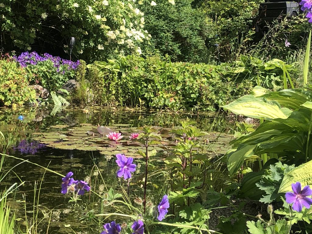 Säljarens sommarbilder.