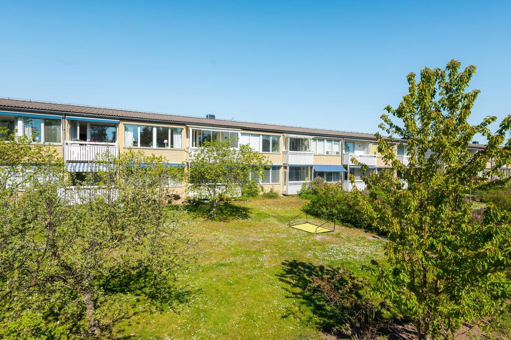 Lojovägen 23 intill grönskande natur