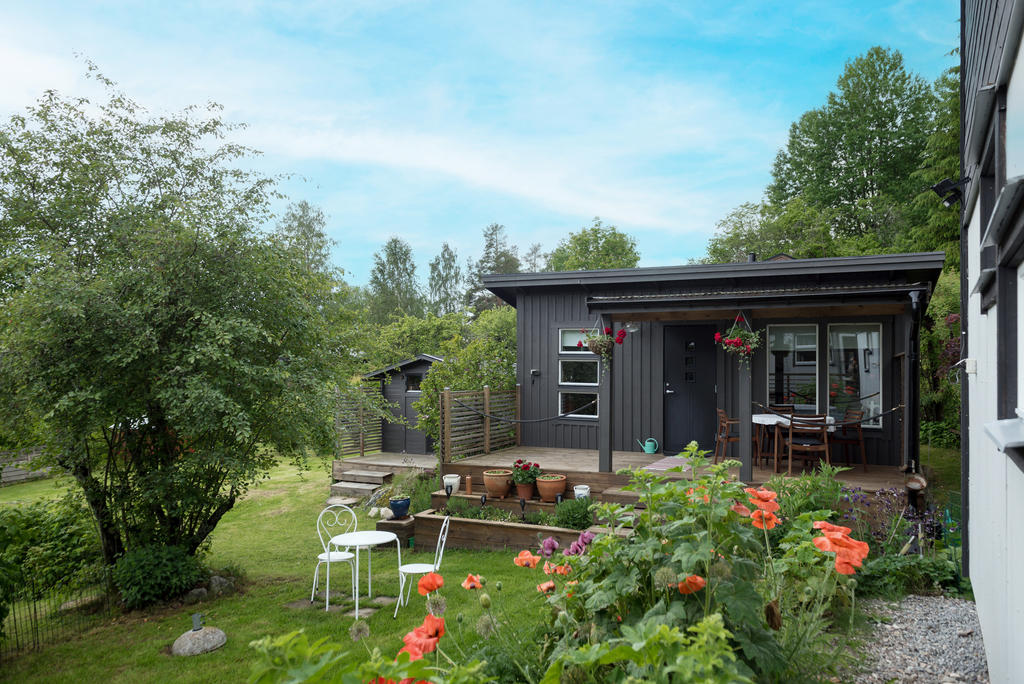 Trädgård. 
