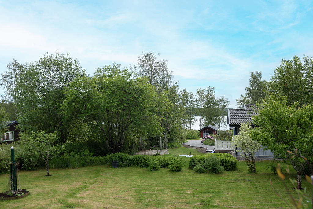 Trädgård. 