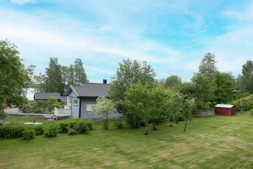 Trädgård. 