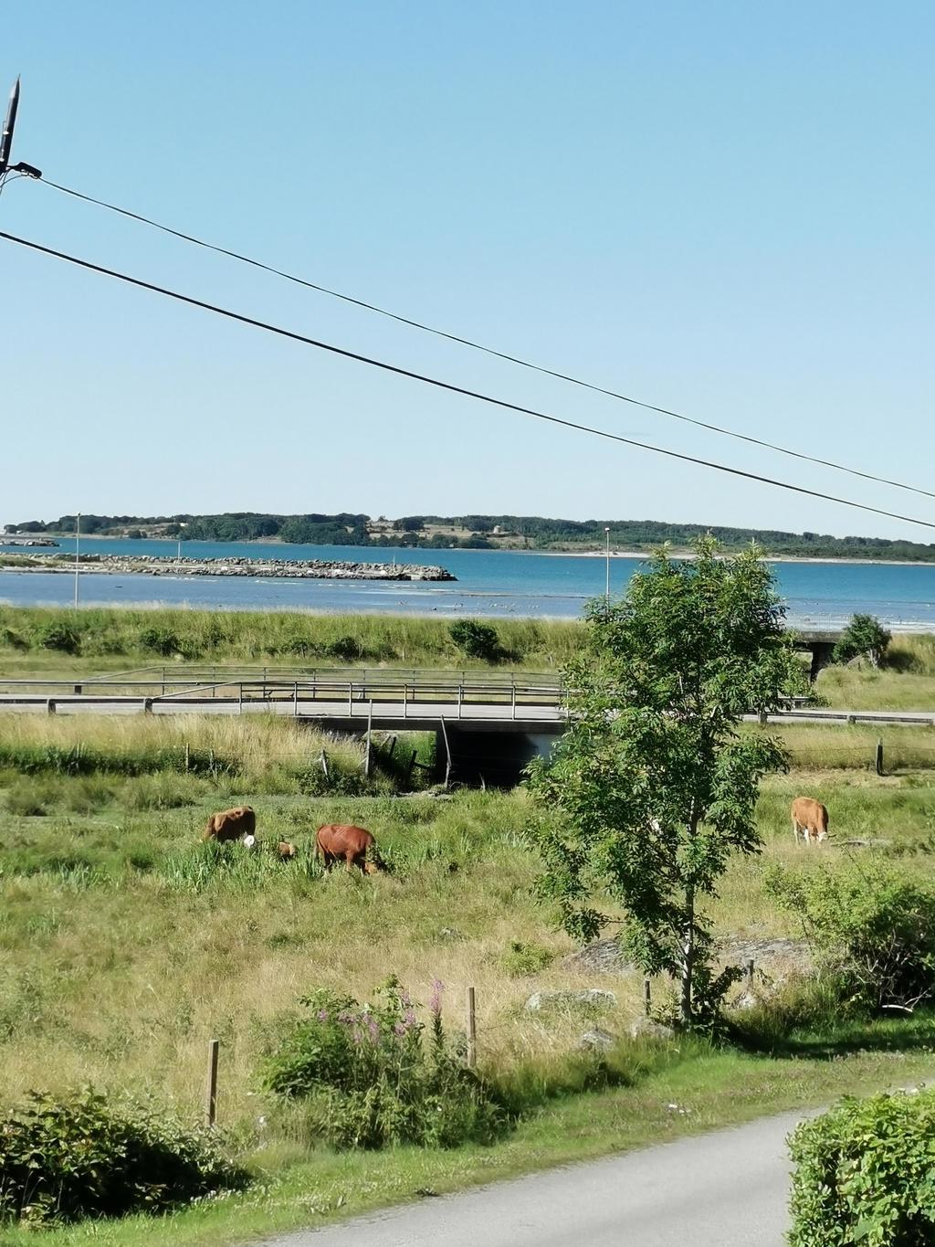 Säljarens egna bilder