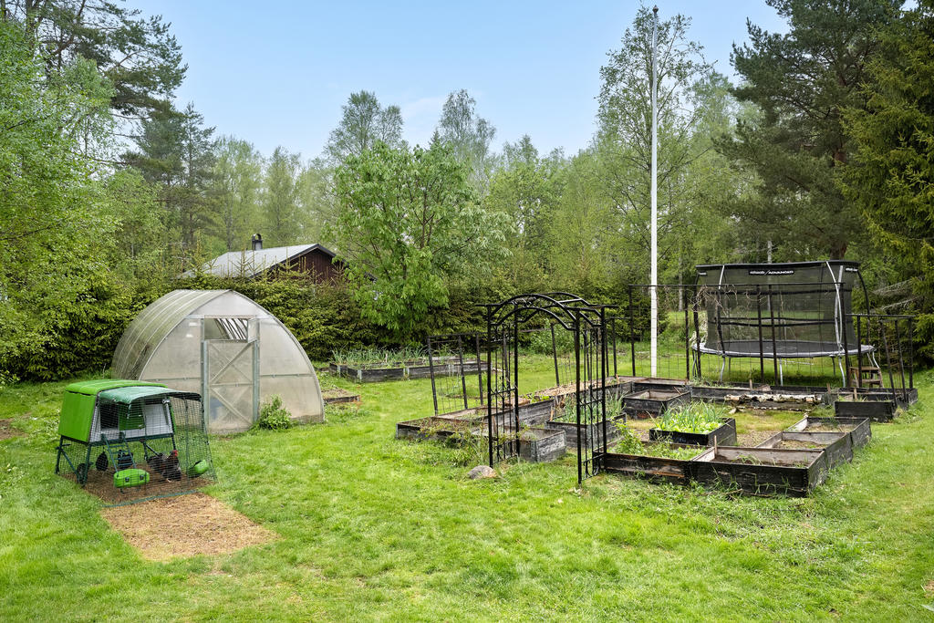 Trädgård