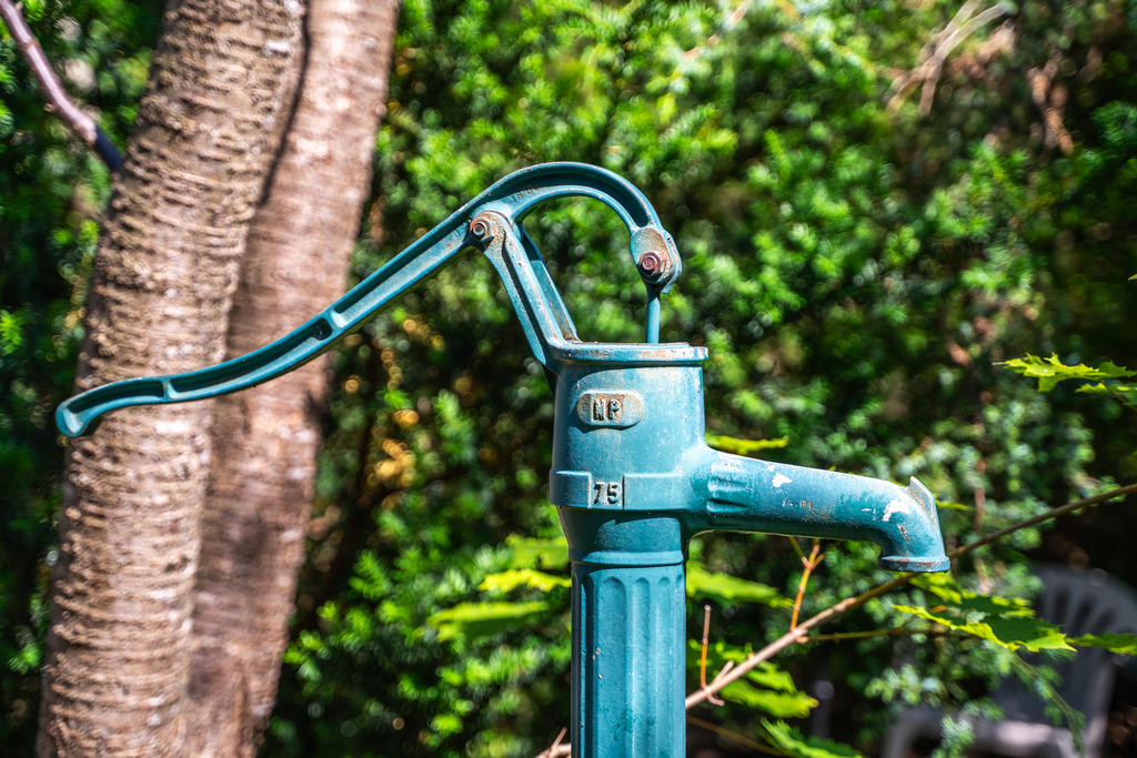 Pump i trädgården