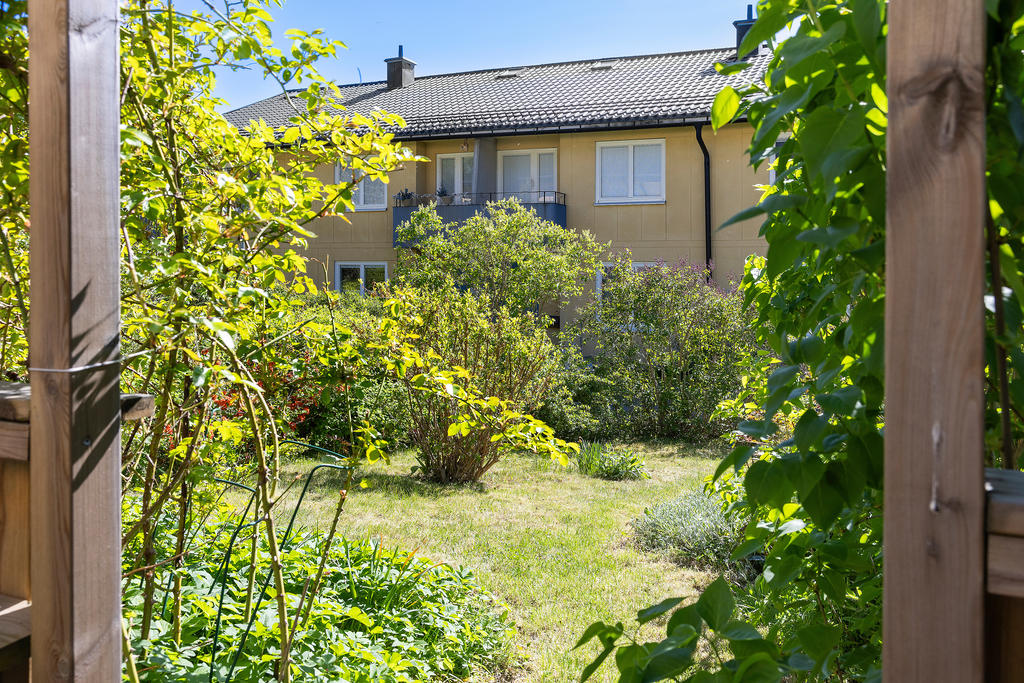 Trädgården har gräsmatta och planteringar