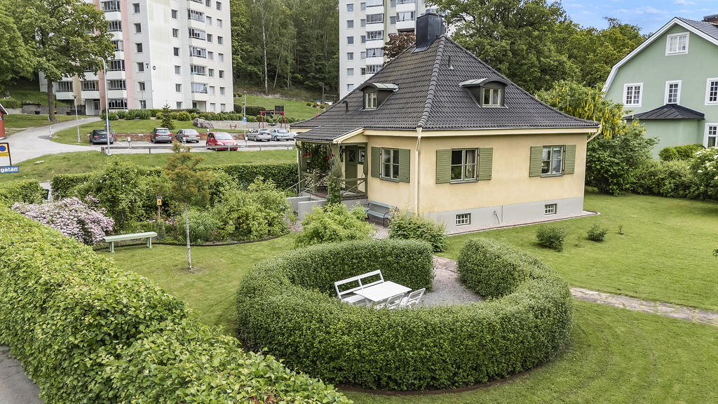 Vacker grönska 