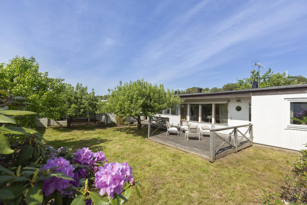 Lättskött trädgård.