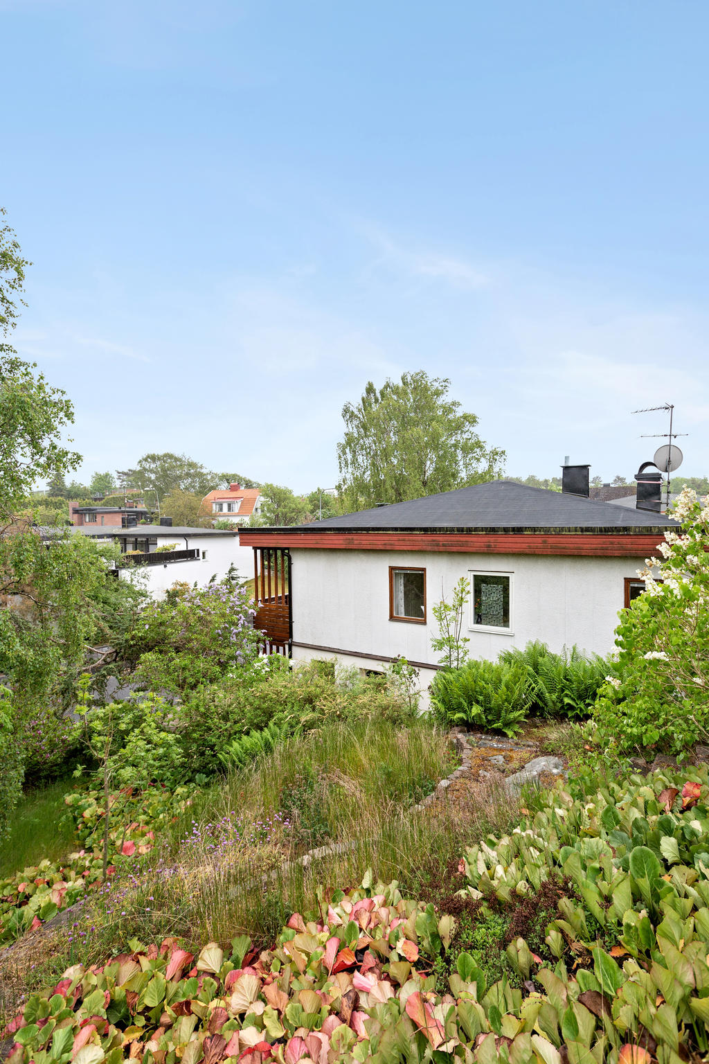 Där tomten tar slut tar naturen vid