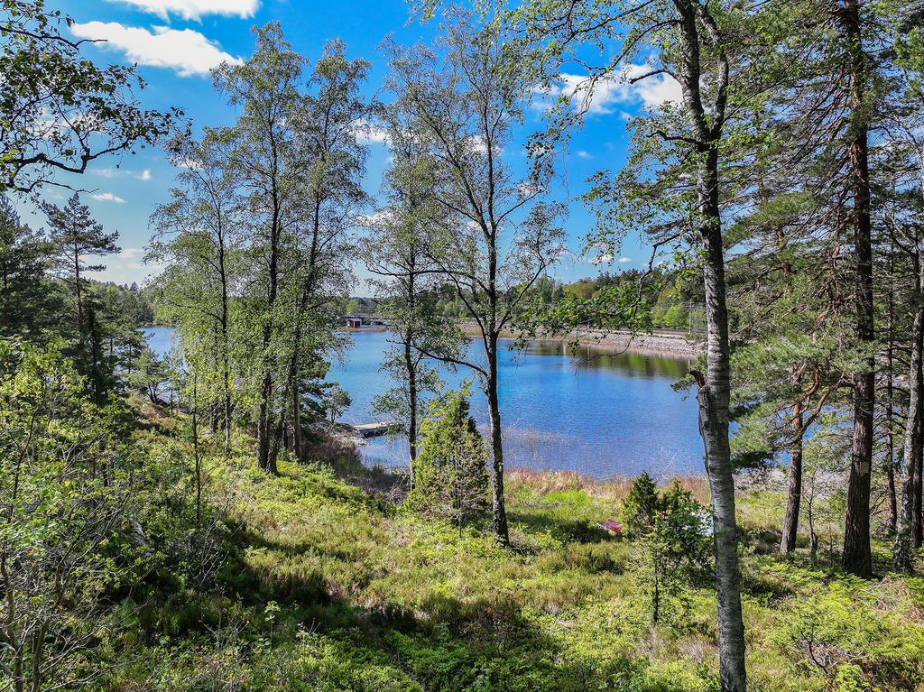 Utsikt från altanen 