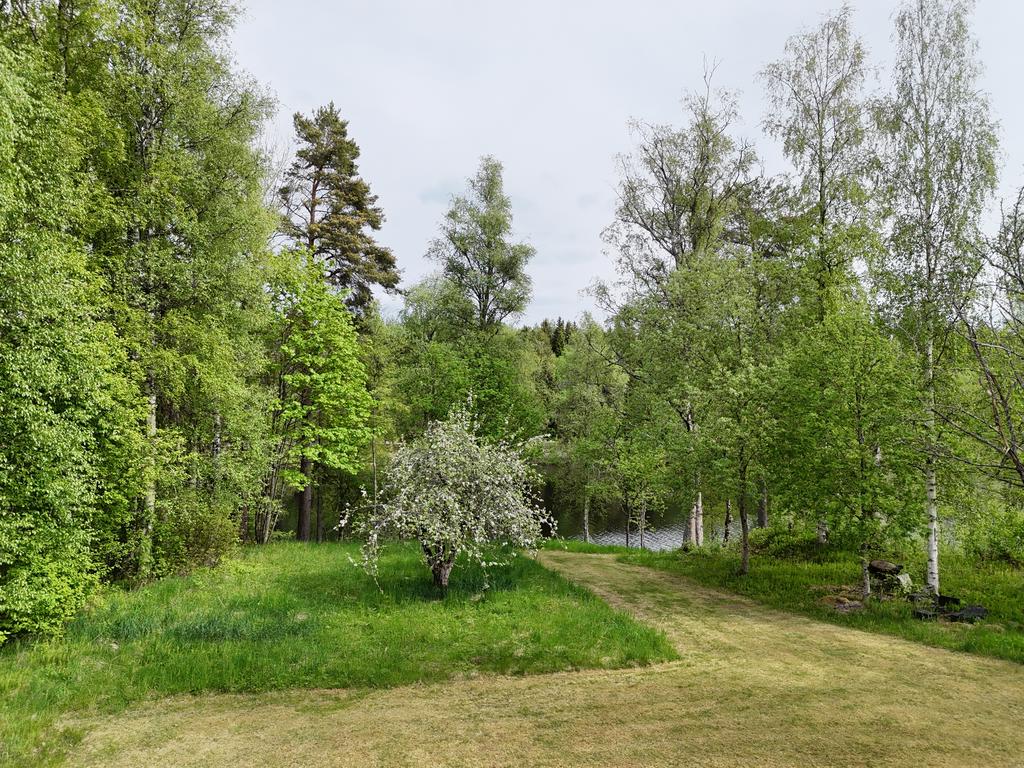 Vägen ner till bryggan!