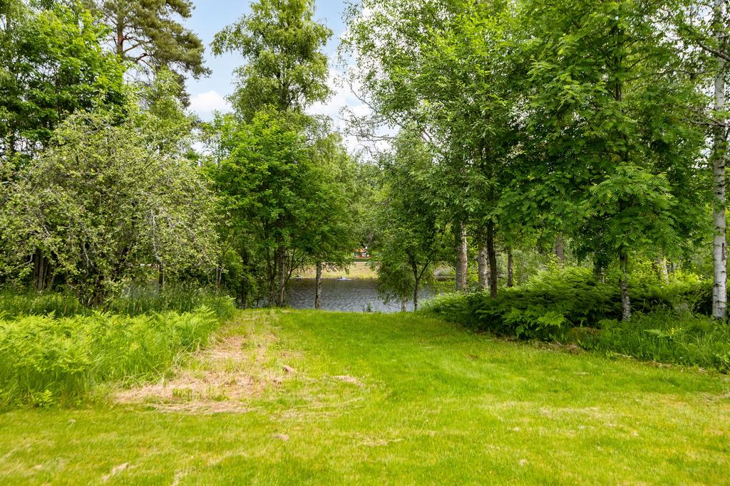 Vägen ner till bryggan!