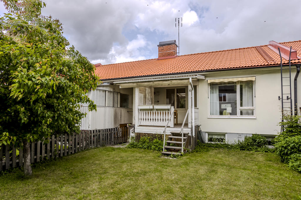 Trädgården på baksidan