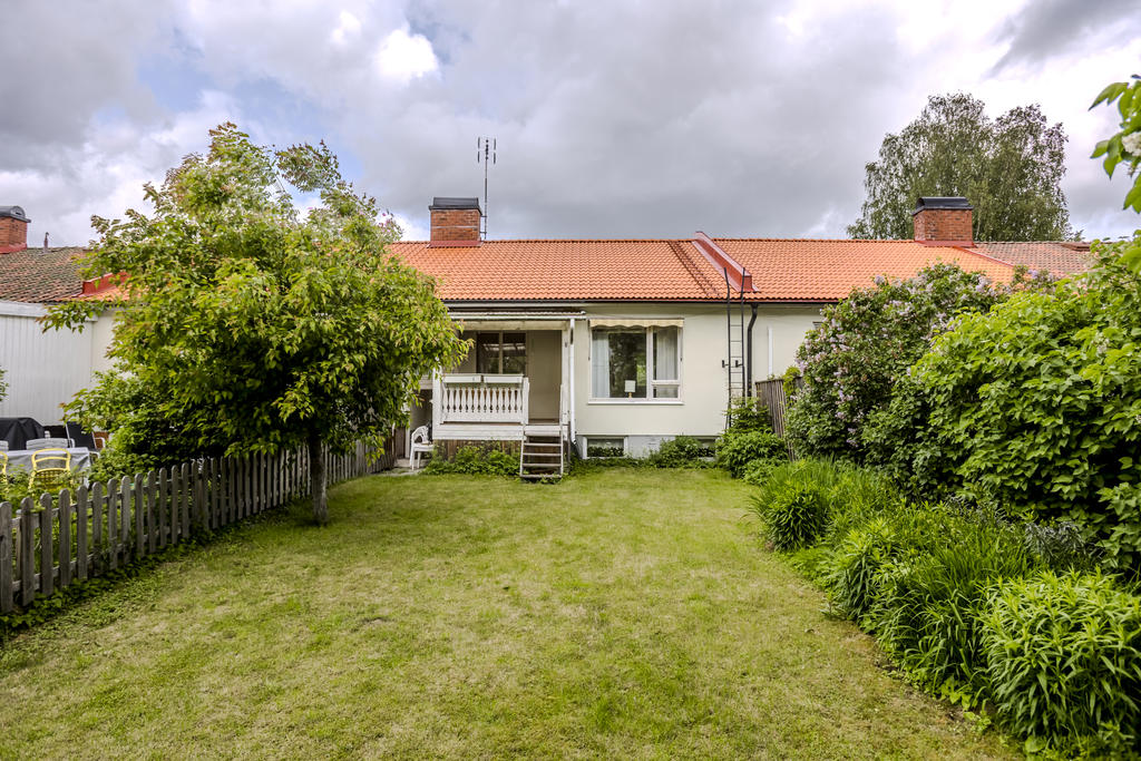 Trädgård