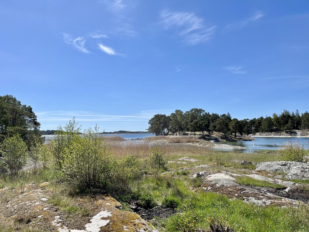 Underbara vyer nere vid havet