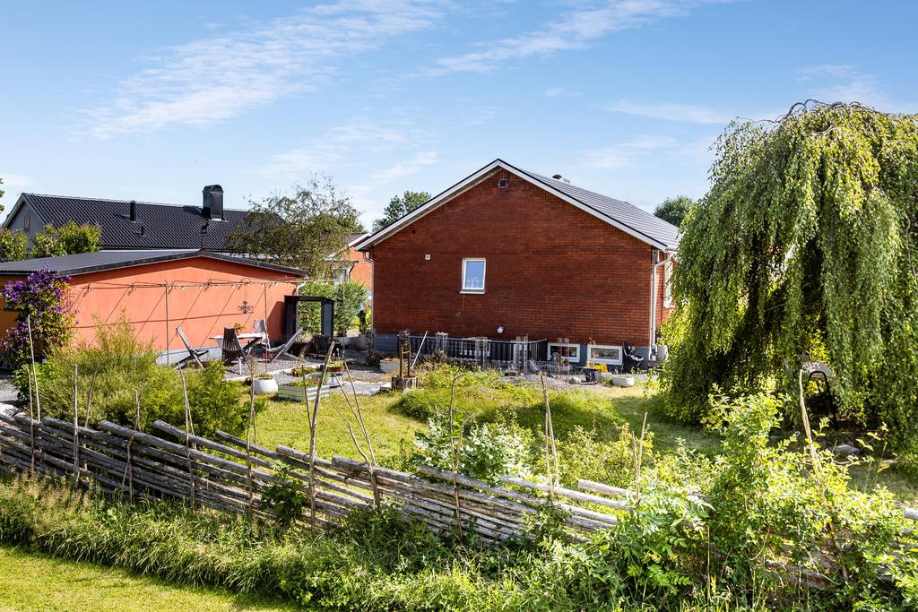 Trädgård