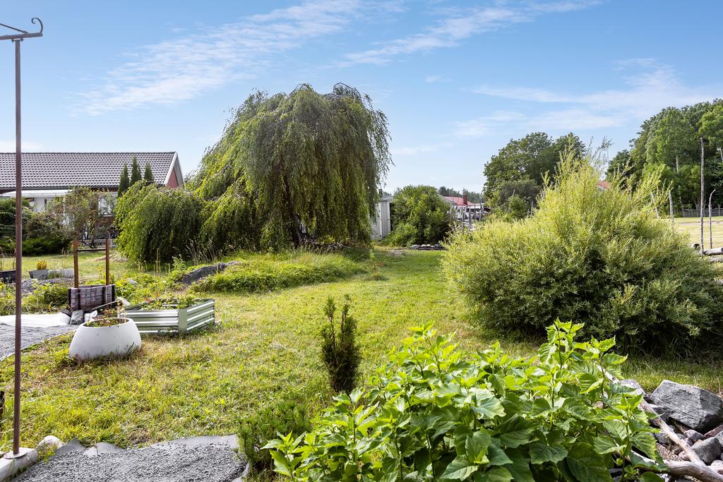 Trädgård