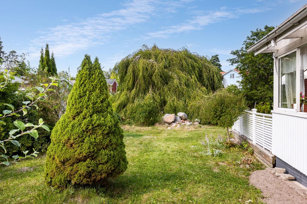 Trädgård
