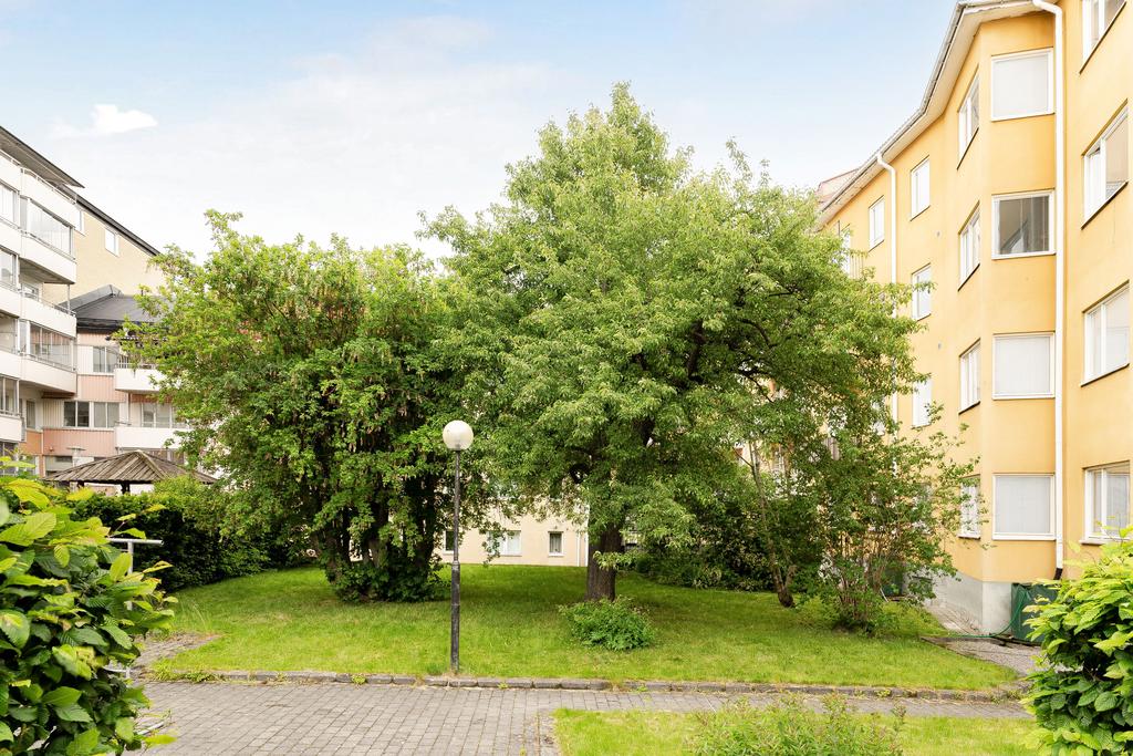 Grönskande innergård