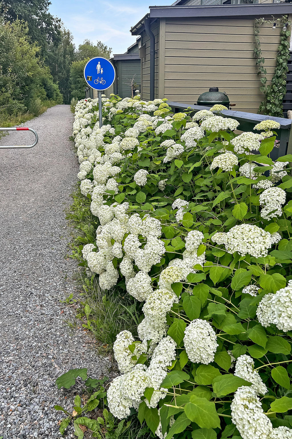 Vacker gångstig som leder ner till badstrand och strandpromenaden.