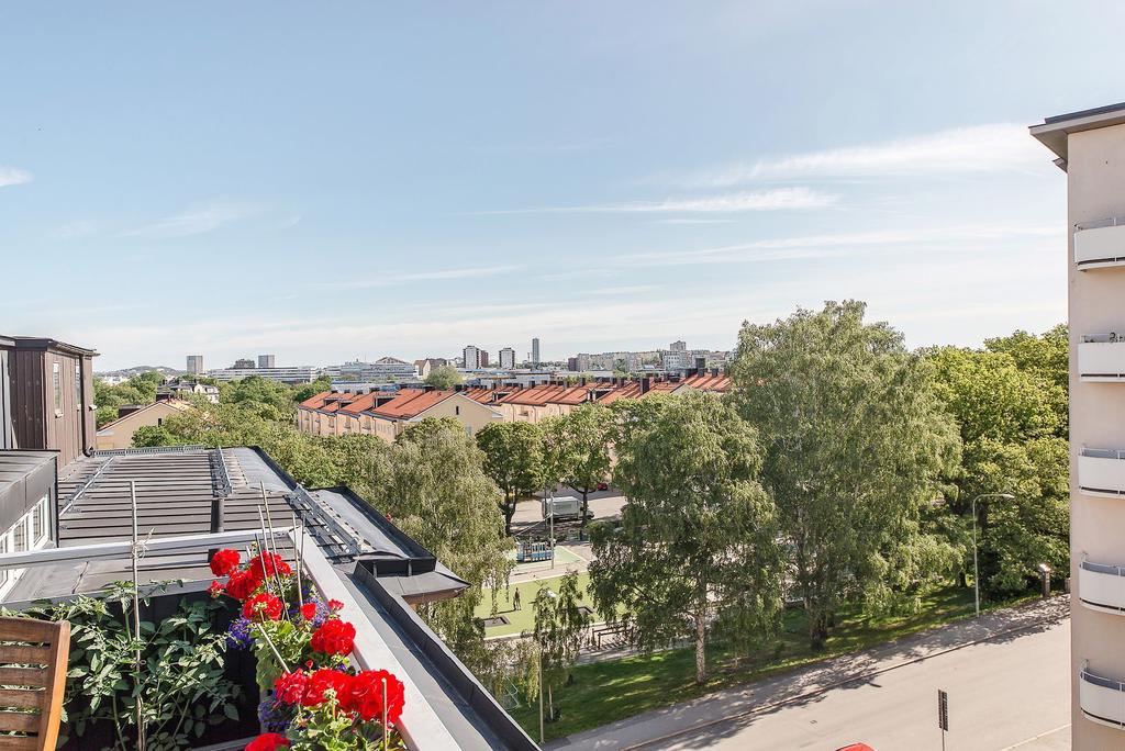 Föreningens gemensamma takterrass
