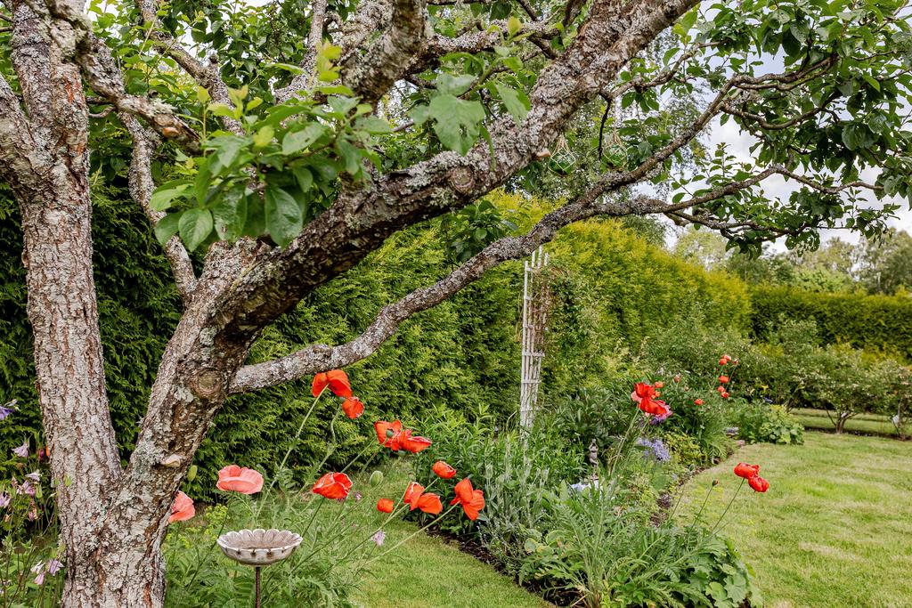 Här ramas fastigheten in av en insynsskyddad häck