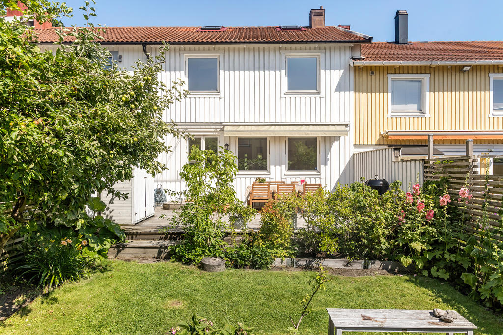 Trädgården med gräsmatta