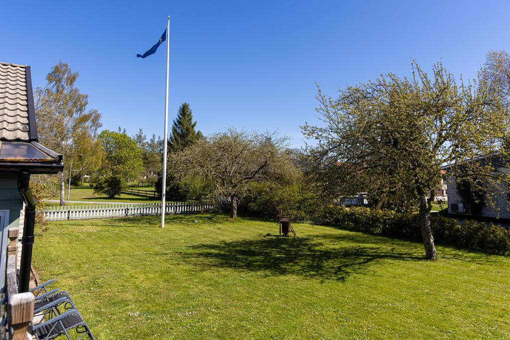 Trädgård