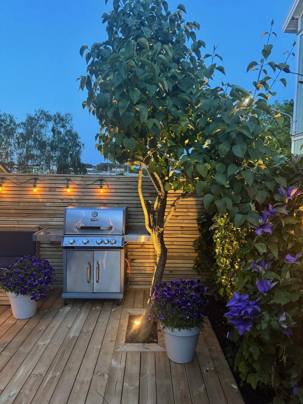 En grönskande och mysig oas, perfekt för både soliga dagar och ljumma kvällar!